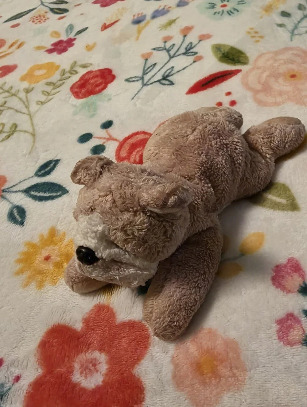 Plush Small Pet Toy - Soft Tan & Cream Plush Roddy